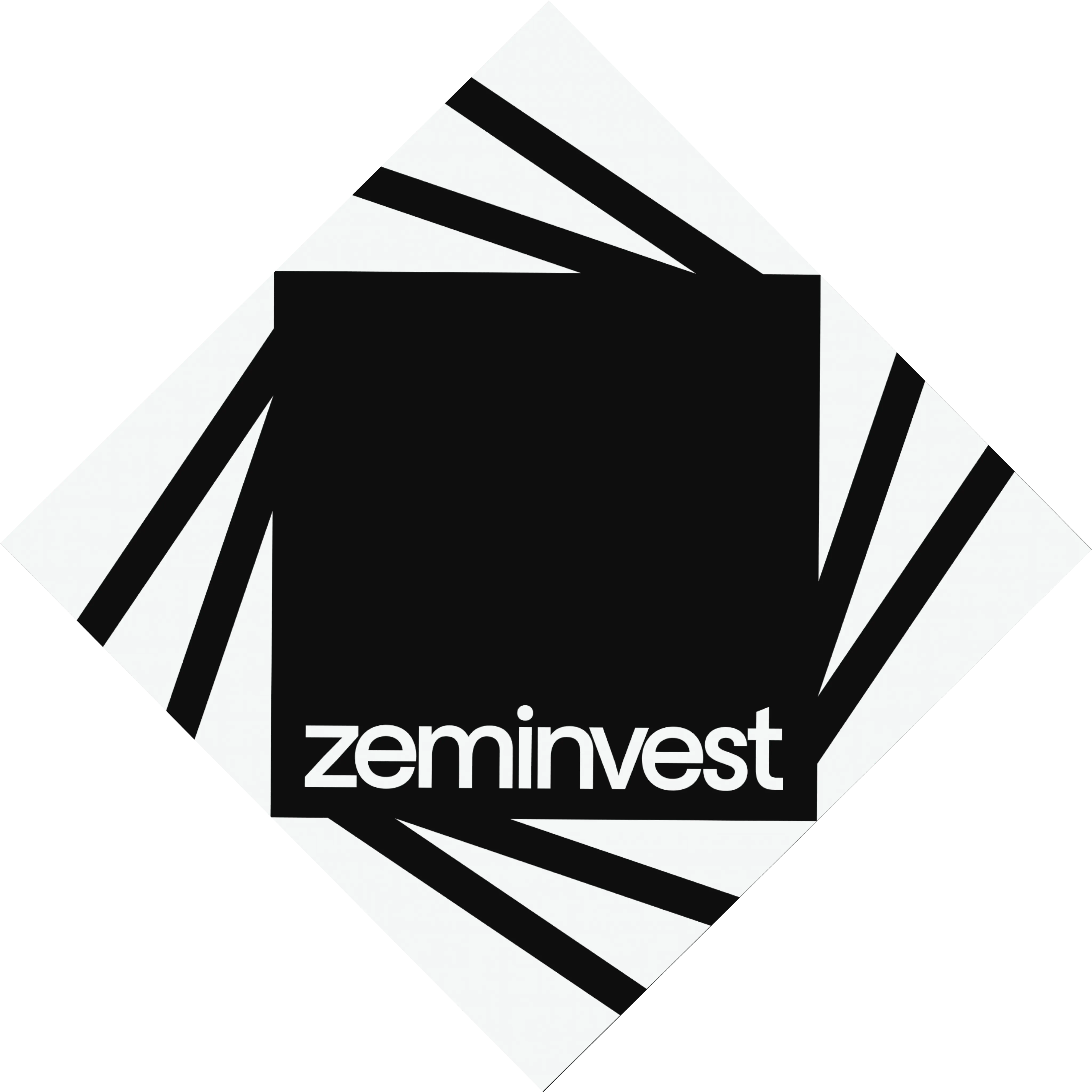 logo zeminvest