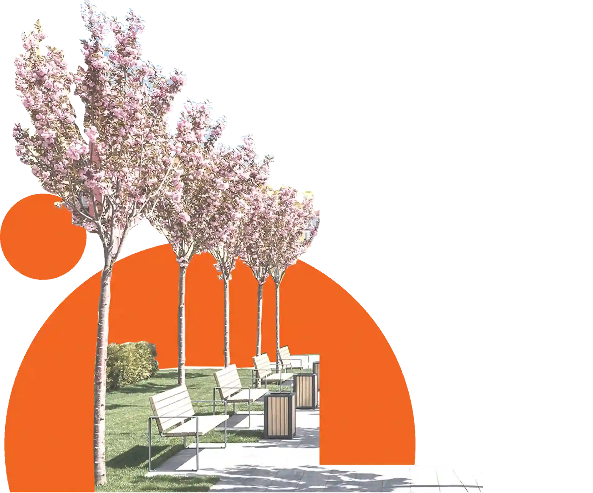 An image of the architectural project.