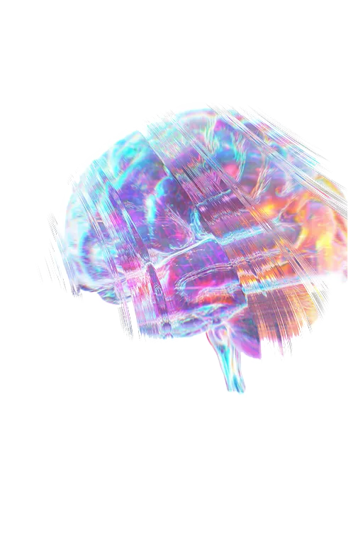 Brain