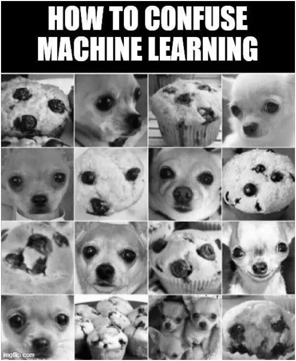 funny picture