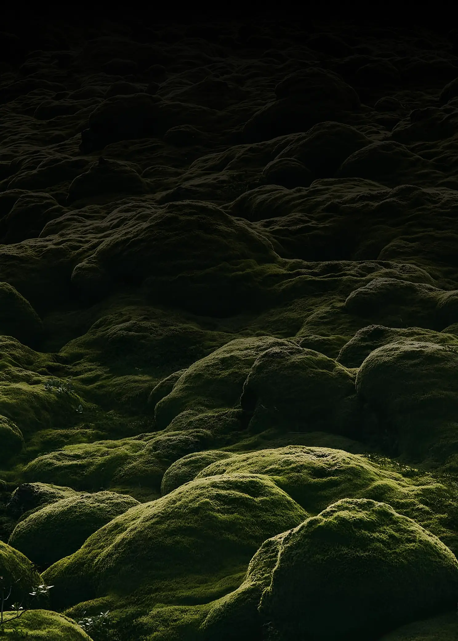 декоративне фото