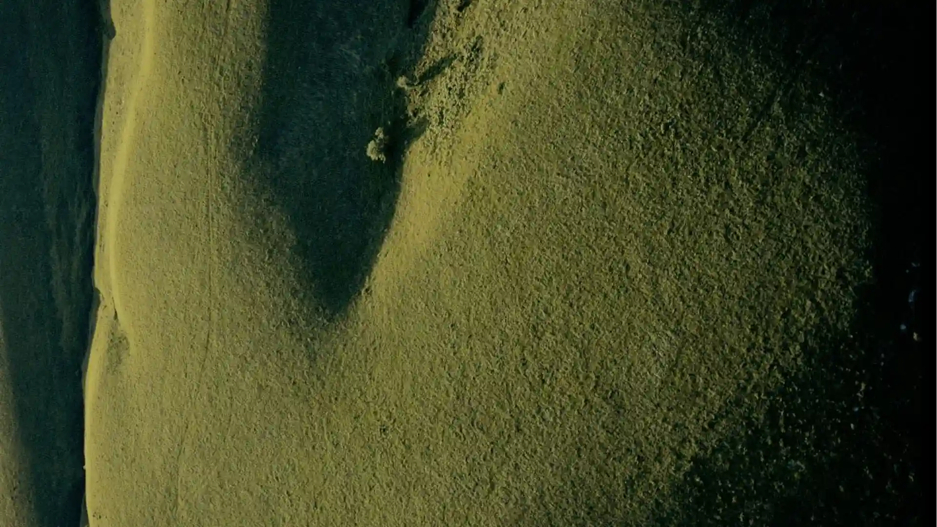 декоративне фото