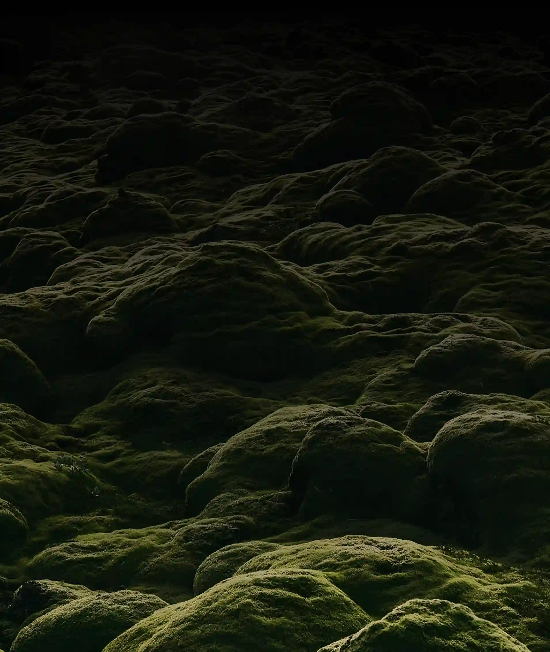 декоративне фото