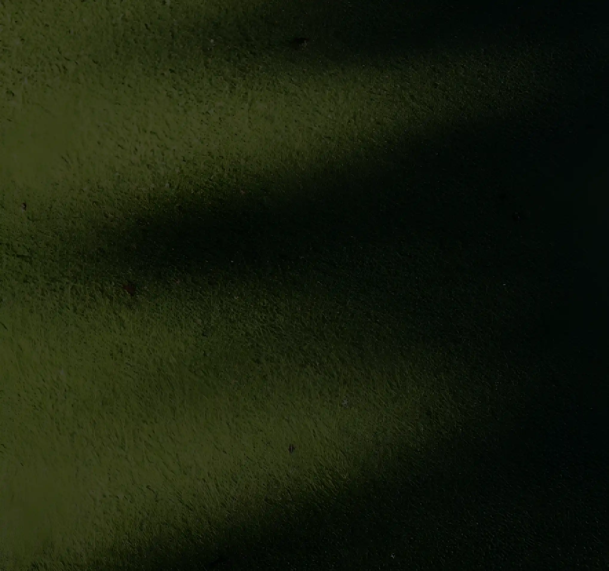 декоративне фото