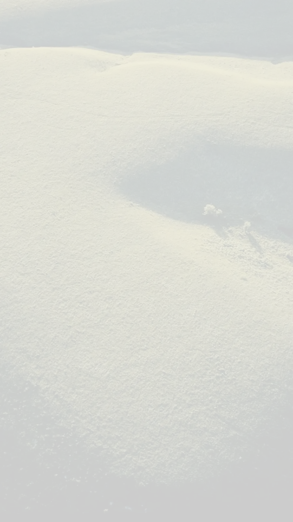 декоративне фото