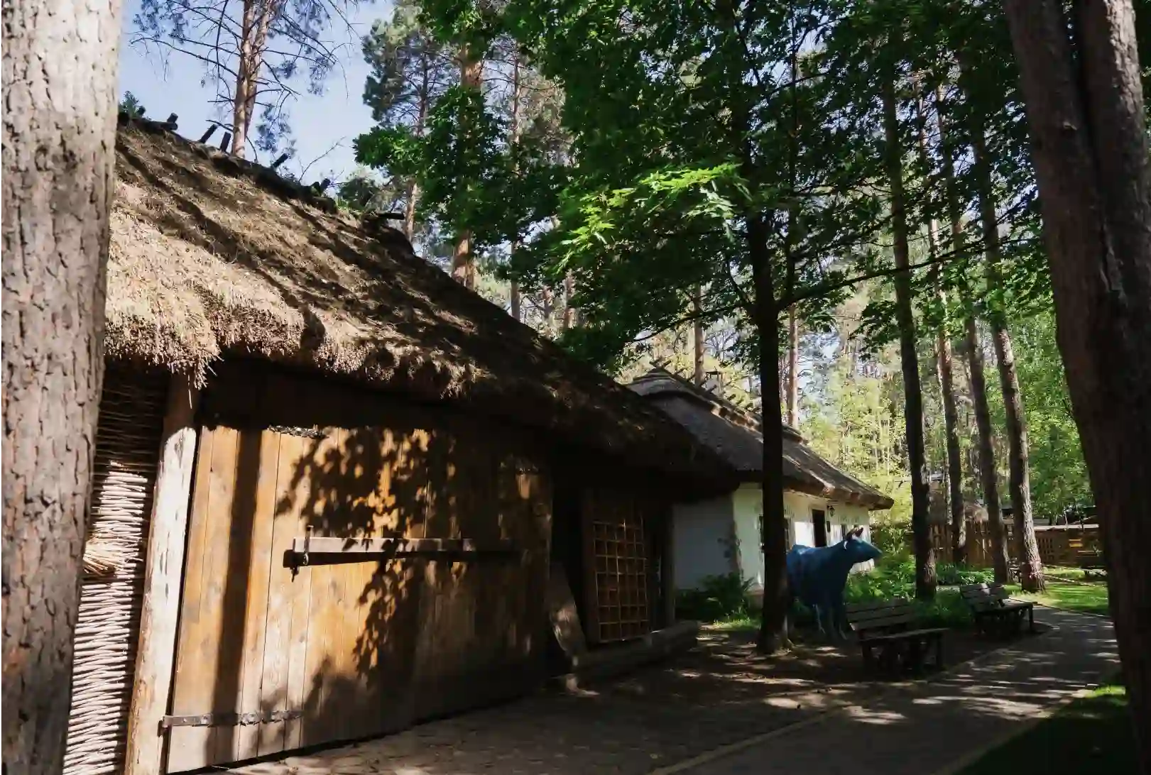 Українське село